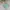 Minimalist Puffer jacket Kids green blue photo 1