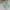 Minimalist Puffer Jacket Kids Green Blue