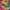 Y2K T-shirt Pria multicolor photo 4