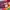 Y2K T-shirt Pria multicolor photo 3