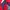 Umbro Vintage Jumper Pria red photo 5