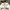 Tommy Hilfiger Casual Jumper Pria White