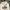 GAP Casual Hoody Pria white photo 2
