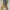 Coquette Casual Flat Wanita yellow photo 3