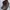 Pull & Bear Streetwear Casual Boots Pria Brown