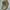 Pull & Bear Streetwear Casual Boots Pria brown photo 2