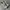 New Balance Sportswear Sneakers Pria white photo 2