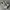 New Balance Sportswear Sneakers Pria White