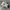 New Balance Sportswear Sneakers Pria white photo 1
