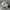 New Balance Sportswear Sneakers Pria White