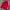 Adidas Vintage Sportswear Puffer Jacket Pria Red