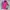 Columbia Sportswear Puffer jacket Pria pink photo 1