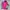 Columbia Sportswear Puffer Jacket Pria Pink