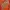 Sportswear Fleece Pria Orange