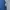 Adidas Sportswear Jumper Pria navy photo 4