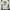 The North Face Casual T-shirt Pria white photo 1