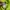 Montbell Sportswear Casual Puffer jacket Pria green blue photo 8