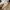 Shein Minimalist Crop top Wanita white black photo 4