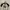 Shein Minimalist Crop top Wanita white black photo 1