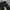 Dickies Streetwear Casual Pants Pria Black