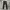 Dickies Streetwear Casual pants Pria black photo 6
