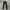 Dickies Streetwear Casual pants Pria black photo 1