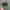 Vintage Streetwear Hat Pria green photo 1