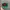 Vintage Streetwear Hat Pria Green