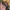 Vintage Streetwear Hat Pria green photo 5
