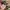 Vintage Streetwear Hat Pria green photo 4
