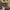 Vintage Streetwear Hat Pria green photo 1