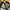 Vintage Streetwear Hat Pria green photo 3