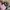 Vintage Streetwear Hat Pria green photo 4