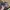 Vintage Streetwear Hat Pria green photo 1