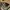 Vintage Streetwear Hat Pria Green