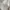 Minimalist Casual Sweater Wanita white cream photo 3