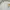 Le Coq Sportif Casual Sweatshirt Pria white yellow photo 1