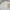 Le Coq Sportif Casual Sweatshirt Pria White Yellow