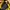 True Religion Y2K Hat Pria yellow gray photo 4