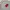 KIRSH Casual Sweatshirt Pria red gray photo 1