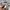 KIRSH Casual Sweatshirt Pria red gray photo 6