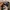 True Religion Y2K Hat Pria navy gray photo 5
