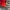 A Bathing Ape Y2K Skater Track jacket Pria red photo 4