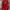 A Bathing Ape Y2K Skater Track Jacket Pria Red