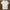 Burberry Luxury Casual T-shirt Pria White