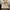 Nike Air Jordan 6 x Travis Scoott photo 4