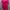 ZARA Casual Wanita pink photo 5