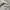 thisisneverthat Streetwear Skater Hoody Pria white gray photo 4