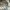 Adidas Sportswear Casual Casual shoe Pria green photo 2