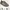 Adidas Sportswear Casual Casual shoe Pria green photo 8